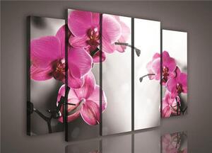 Obraz na plátne, rozmer 150 x 100 cm, orchidea, IMPOL TRADE PS421S12