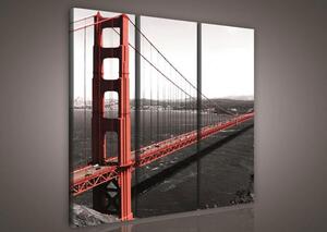 Obraz na plátne, rozmer 90 x 80 cm, Golden Gate Bridge, IMPOL TRADE 103S6