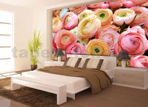 Fototapety, rozmer 368 x 254 cm, kvety ruží, IMPOL TRADE 2298