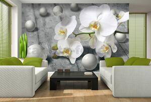 Fototapety, rozmer 368 x 254 cm, orchidea, IMPOL TRADE 3013 P8