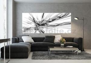 Vliesové fototapety, rozmer 250 x 104 cm, abstrakcie čierno-biela, IMPOL TRADE 3540 VEP