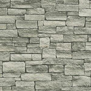 Vliesové tapety, kameň hnedý, Wood´n Stone 958712, A.S. Création, rozmer 10,05 m x 0,53 m