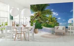 Fototapety, rozmer 368 x 254 cm, palmy na pláži, Komar 8-992
