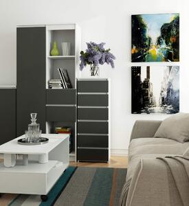 Ak furniture Komoda so zásuvkami CL6 40 x 109 cm bielo-šedá