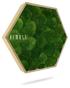 Machový Hexagon BOLMOSS Natural green