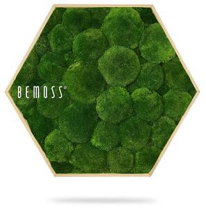 Machový Hexagon BOLMOSS Natural green