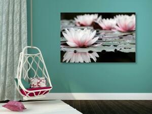 Obraz lotosový kvet - 60x40