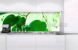 Samolepiace tapety za kuchynskú linku, rozmer 180 cm x 60 cm, zelené listy, DIMEX KI-180-010