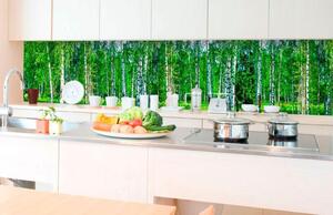 Samolepiace tapety za kuchynskú linku, rozmer 350 cm x 60 cm, brezový les, DIMEX KI-350-044
