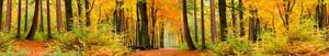 Samolepiace tapety za kuchynskú linku, rozmer 350 cm x 60 cm, les v jeseni, DIMEX KI-350-045