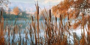 Obraz rieka uprostred jesennej prírody - 100x50
