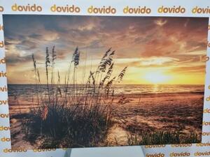 Obraz západ slnka na pláži - 60x40