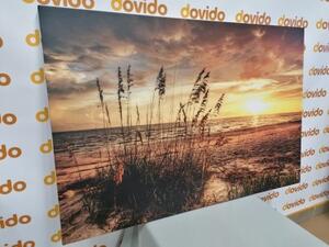 Obraz západ slnka na pláži - 90x60