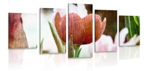 5-dielny obraz lúka tulipánov v retro štýle - 100x50