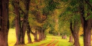 Obraz chodník jesenným lesom - 100x50