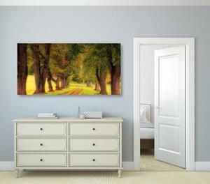 Obraz chodník jesenným lesom - 100x50