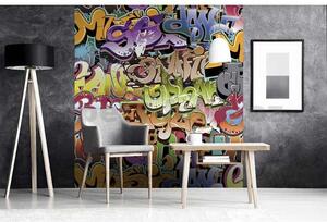 Vliesové fototapety, rozmer 225 cm x 250 cm, graffiti, DIMEX MS-3-0322