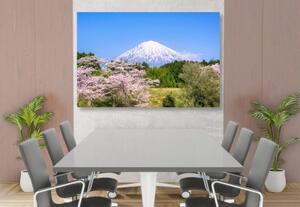 Obraz sopka Fuji - 60x40