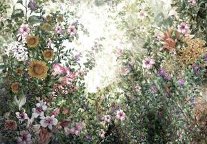 Vliesové fototapety 11396 V8, rozmer 368 cm x 254 cm, lučné kvety, IMPOL TRADE