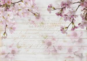 Vliesové fototapety 12064 V8, rozmer 368 cm x 254 cm, kvety sakury na dreve, IMPOL TRADE
