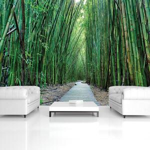 Vliesové fototapety 12632 V8, rozmer 368 cm x 254 cm, bambus Vietnam, IMPOL TRADE