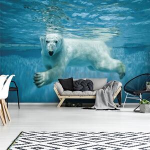Vliesové fototapety 12621 V8, rozmer 368 cm x 254 cm, ľadový medveď vo vode, IMPOL TRADE