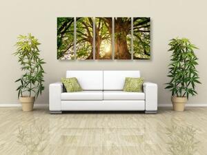 5-dielny obraz majestátne stromy - 100x50