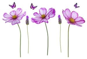 Samolepky na stenu DS 410-12, rozmer 95 cm x 142 cm, kvety fialové, IMPOL TRADE