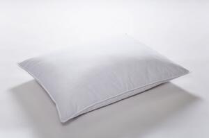 Kamýk Daunen Páperový vankúš Cannstatter Pillow Premium 50x70cm 70x90 cm 90% páperie/10% perie 50x70 cm