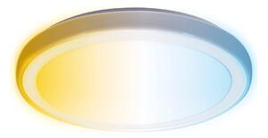 Aigostar - LED Kúpeľňové stropné svietidlo LED/24W/230V IP44 + diaľkové ovládanie