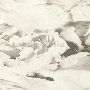 Vliesové tapety IMPOL New Studio 37398-4, rozmer 10,05 m x 0,53 m, pivonky sivo-biele, A.S. Création