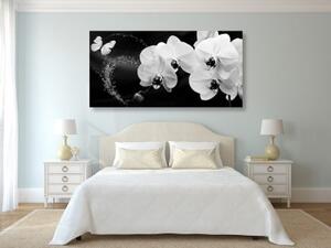 Obraz čiernobiela orchidea a motýľ - 100x50