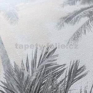Vliesové tapety na stenu IMPOL Giulia 6788-20, palmy sivo-béžové, rozmer 10,05 m x 0,53 m, NOVAMUR 82206