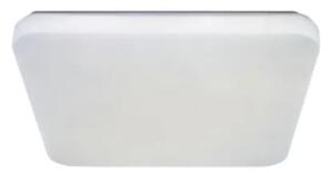 LED Stropné svietidlo OPAL LED/36W/230V 3000-6500K + diaľkové ovládanie