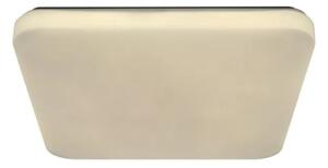 LED Stropné svietidlo OPAL LED/48W/230V 3000-6500K + diaľkové ovládanie