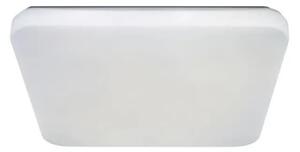 LED Stropné svietidlo OPAL LED/48W/230V 3000-6500K + diaľkové ovládanie