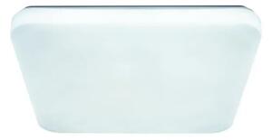 LED Stropné svietidlo OPAL LED/48W/230V 3000-6500K + diaľkové ovládanie