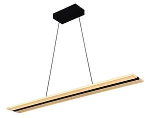LED Stmievateľný luster na lanku LED/40W/230V 3000-6500K čierna + diaľkové ovládanie
