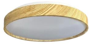 LED Stmievateľné stropné svietidlo OPAL LED/48W/230V 3000-6500K + diaľkové ovládanie