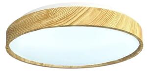 LED Stmievateľné stropné svietidlo OPAL LED/48W/230V 3000-6500K + diaľkové ovládanie