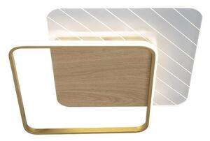 LED Stmievateľné stropné svietidlo LED/60W/230V 3000-6500K + diaľkové ovládanie
