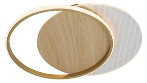 LED Stmievateľné stropné svietidlo LED/60W/230V 3000-6500K + diaľkové ovládanie