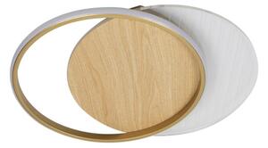 LED Stmievateľné stropné svietidlo LED/60W/230V 3000-6500K + diaľkové ovládanie