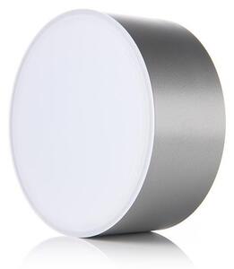 LED2 - LED Stropné svietidlo BUTTON LED/17W/230V strieborná
