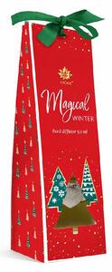 Arôme Difuzér s tyčinkami Magical Winter 50ml