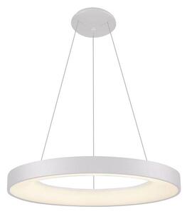 LED2 - LED Luster na lanku BELLA LED/50W/230V 3000K pr. 60 cm biela