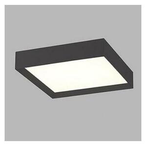 LED2 - LED Stropné svietidlo MILO LED/30W/230V čierna 3000/4000K