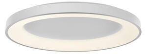 LED2 - LED Stmievateľné stropné svietidlo BELLA LED/80W/230V 3000K/4000K biela