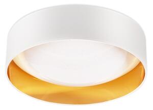 Top Light - LED Stmievateľné stropné svietidlo LED/24W/230V + diaľkové ovládanie biela