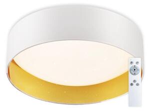 Top Light - LED Stmievateľné stropné svietidlo LED/24W/230V + diaľkové ovládanie biela